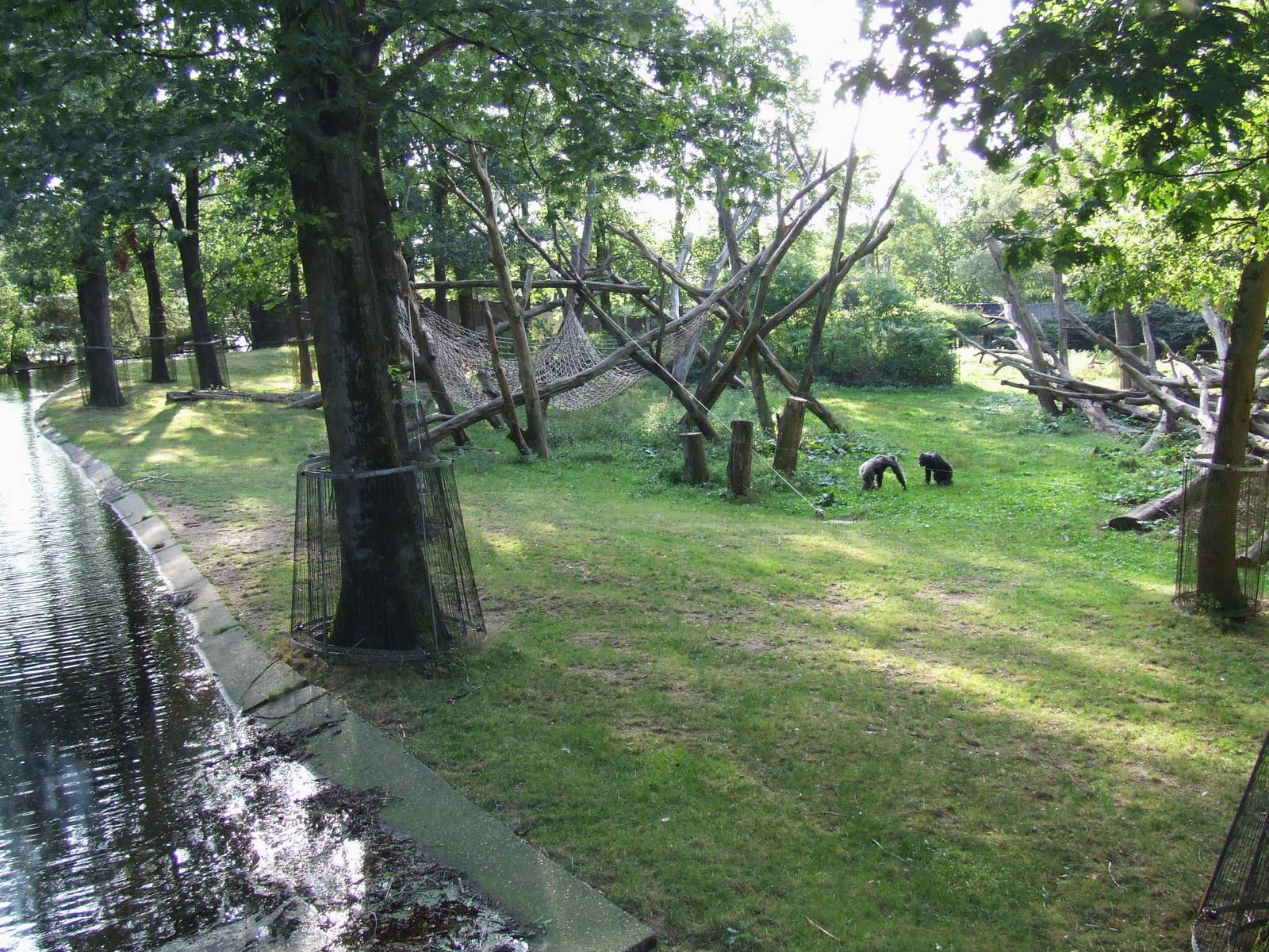 Chimpanzee enclosure