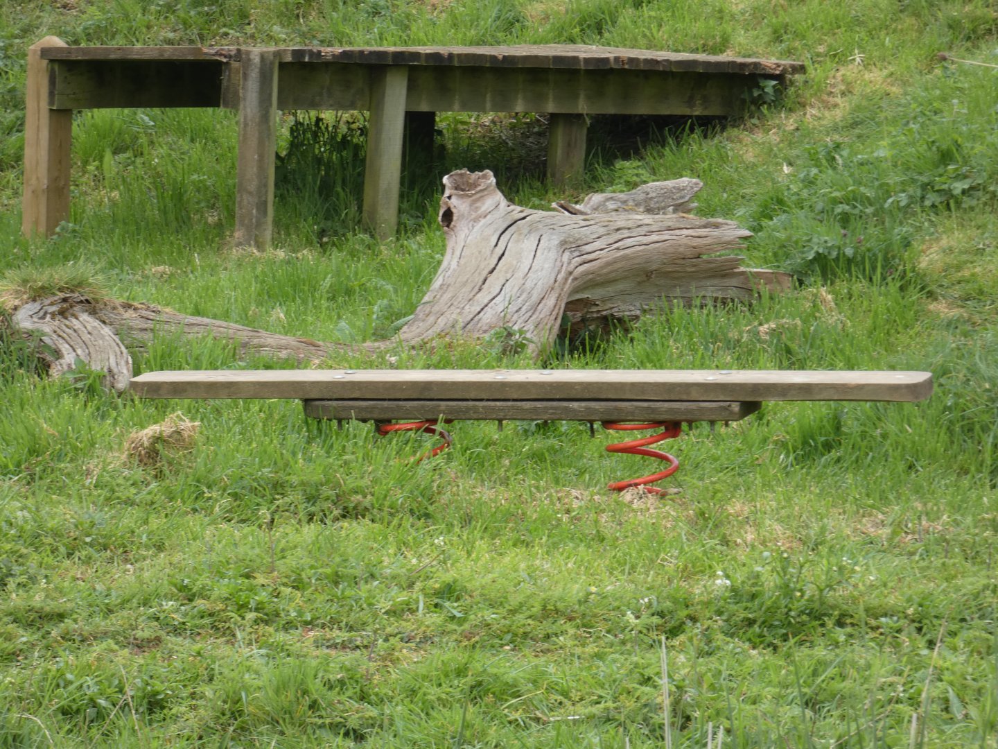 Chimpanzee enrichment