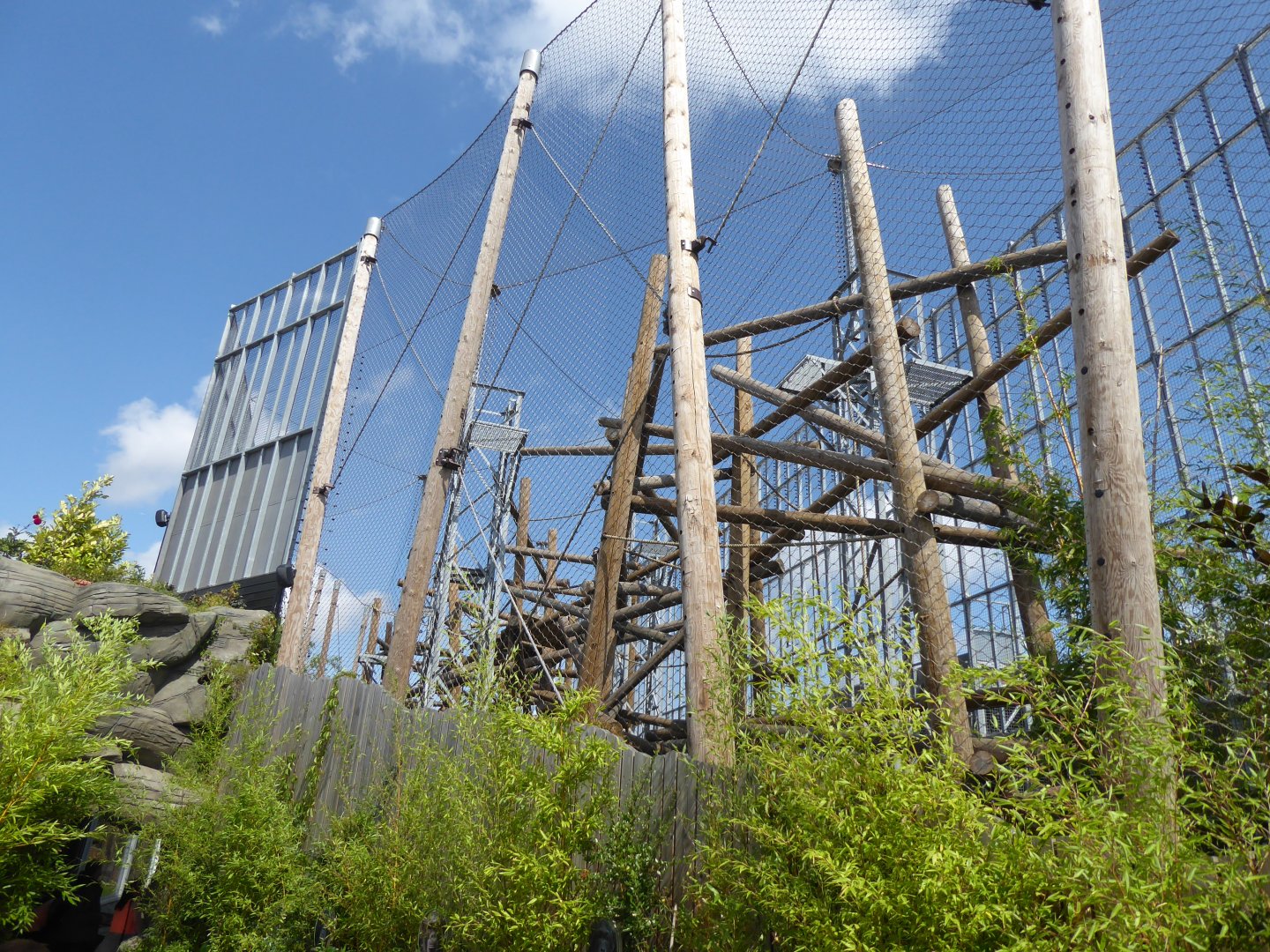 Chimpanzee exhibit 050819