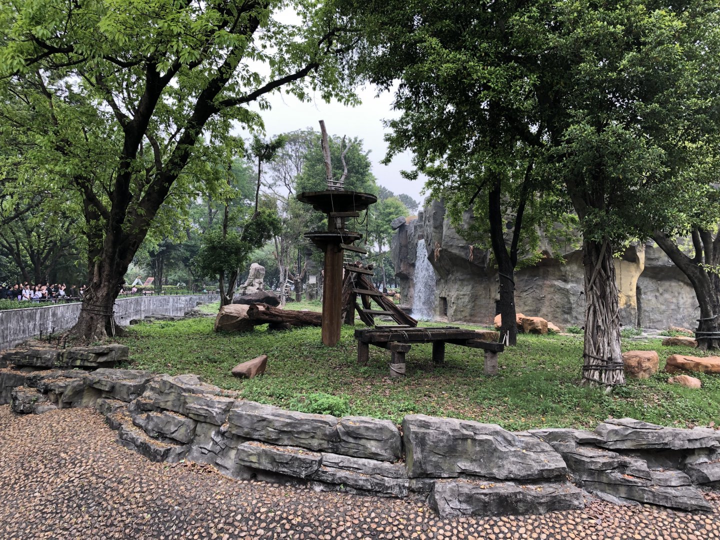 Chimpanzee Exhibit #1