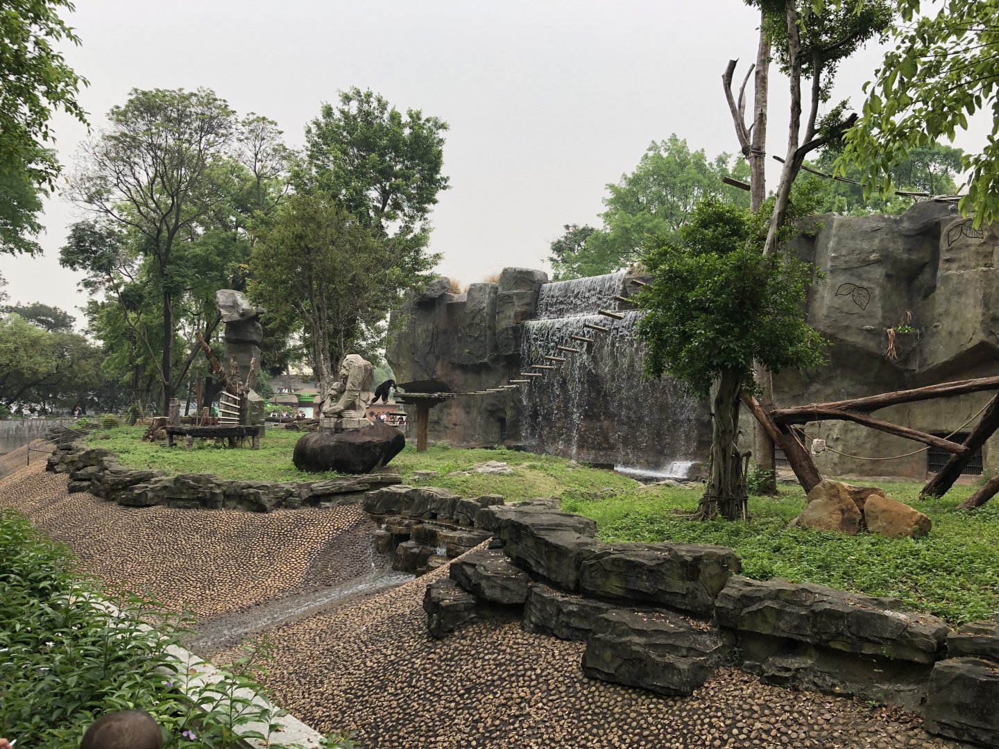 Chimpanzee Exhibit #1