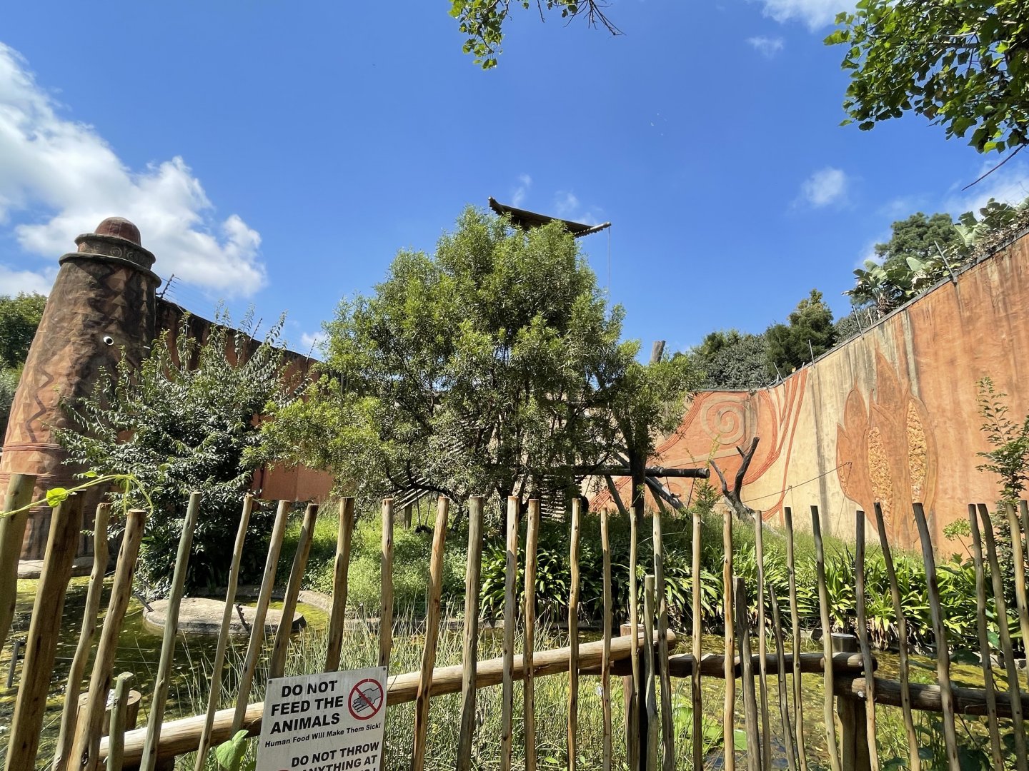 Chimpanzee Exhibit #1