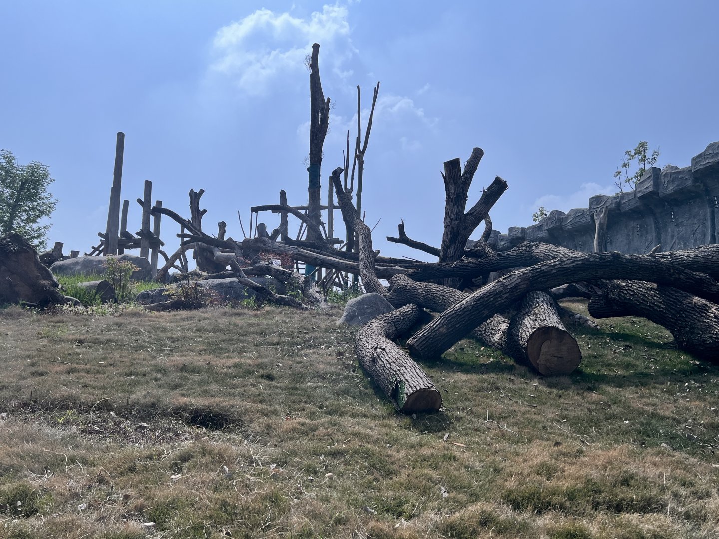 Chimpanzee Exhibit #1