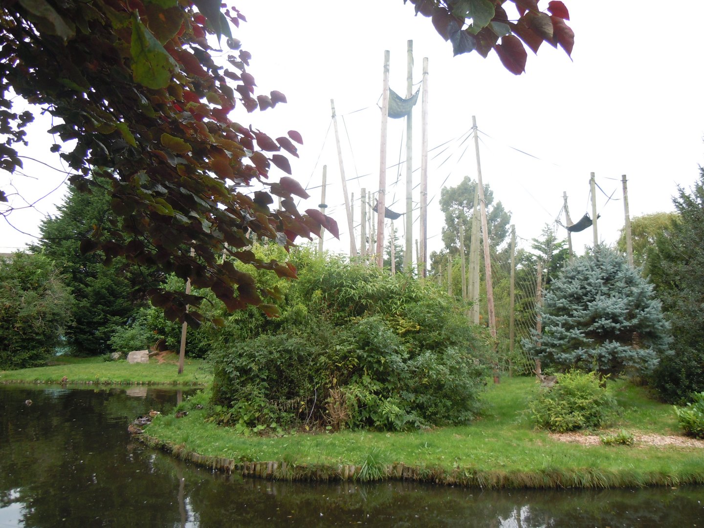 Chimpanzee exhibit 110920