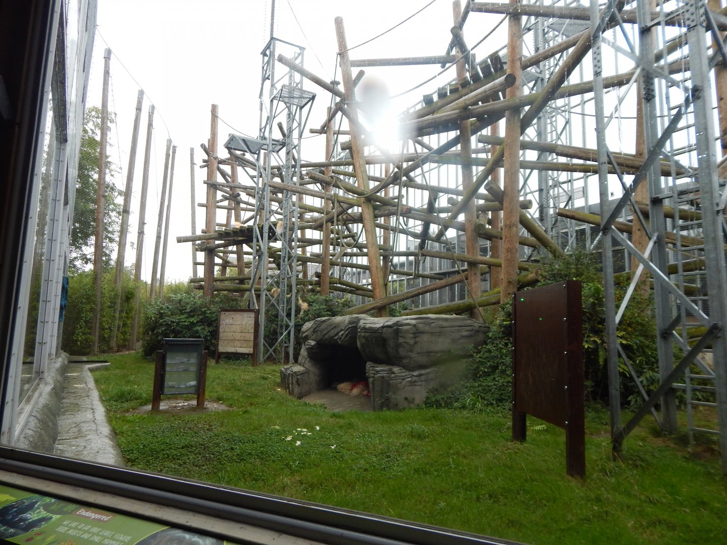 Chimpanzee exhibit 110925