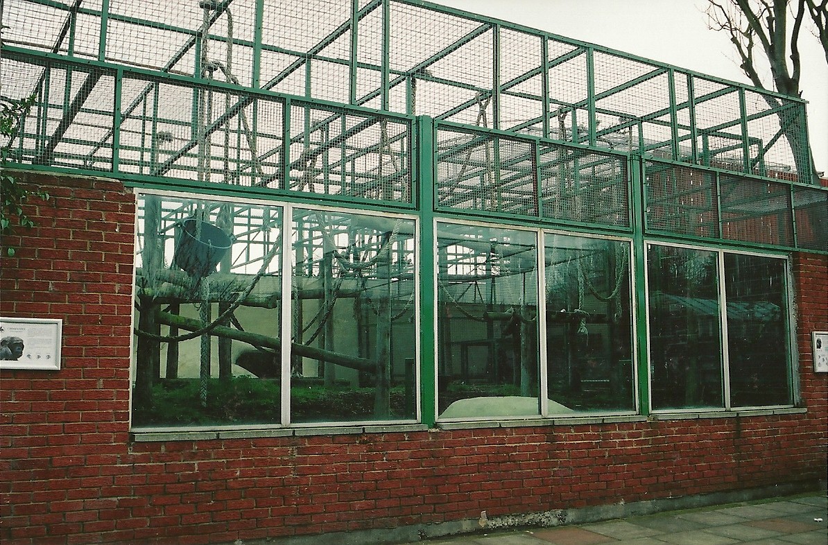 Chimpanzee exhibit 16th April 2004