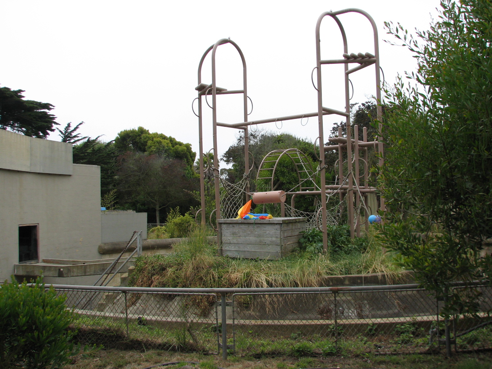 Chimpanzee Exhibit 2