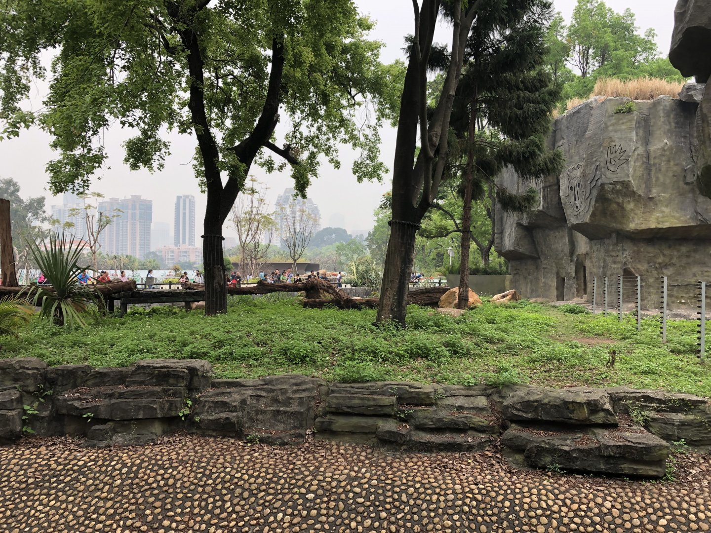 Chimpanzee Exhibit #2