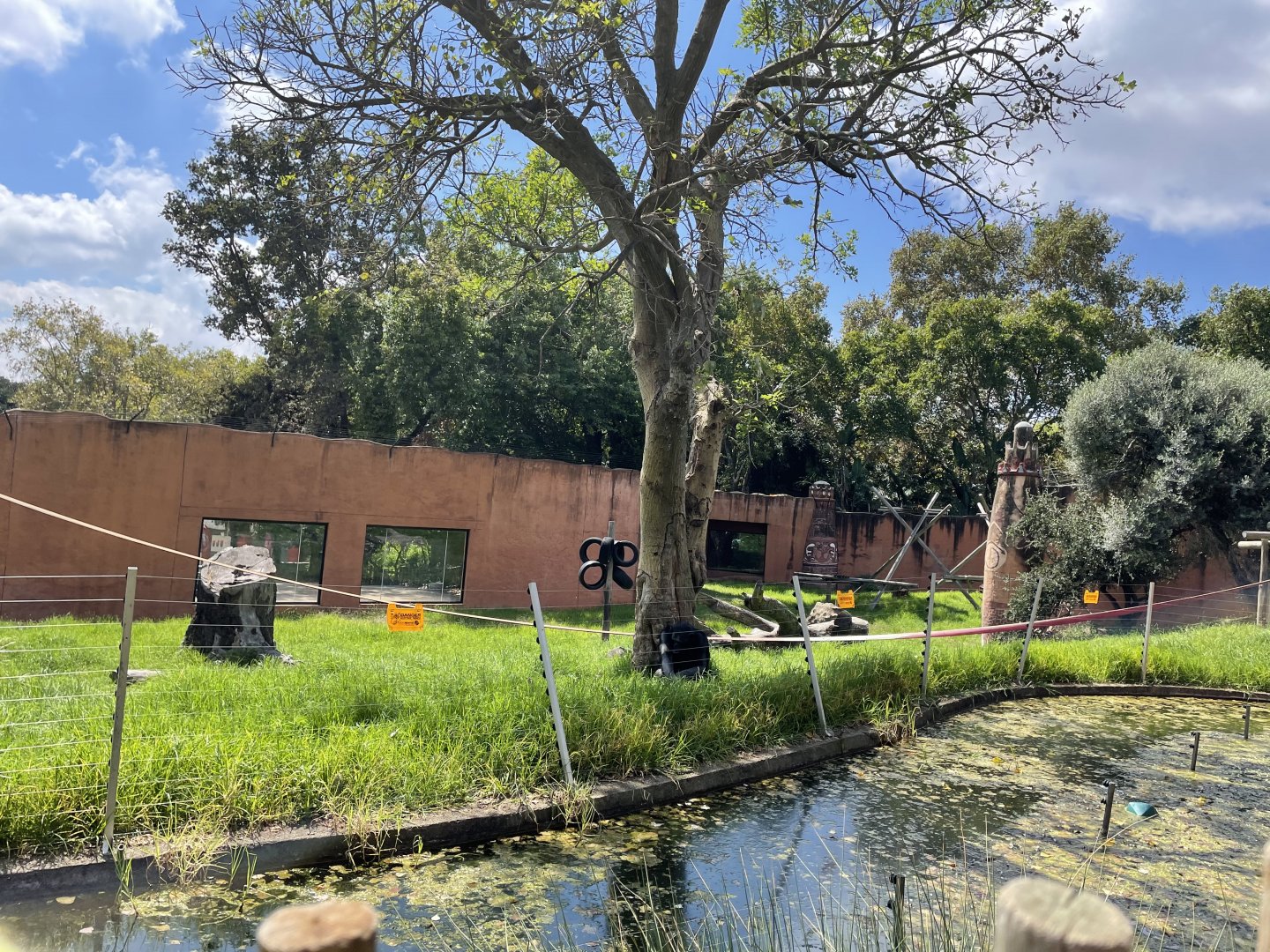 Chimpanzee Exhibit #2