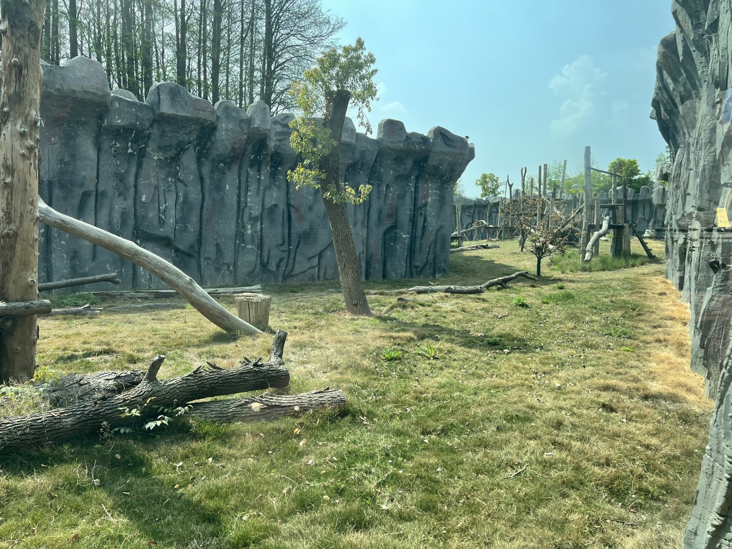 Chimpanzee Exhibit #2