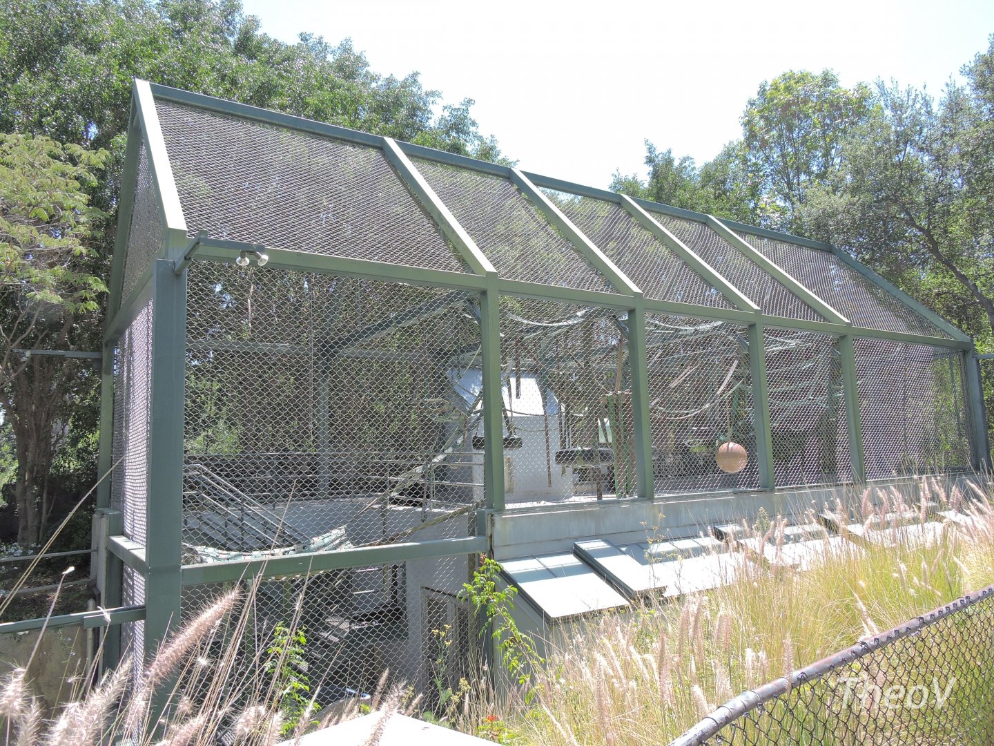 Chimpanzee exhibit [2015]