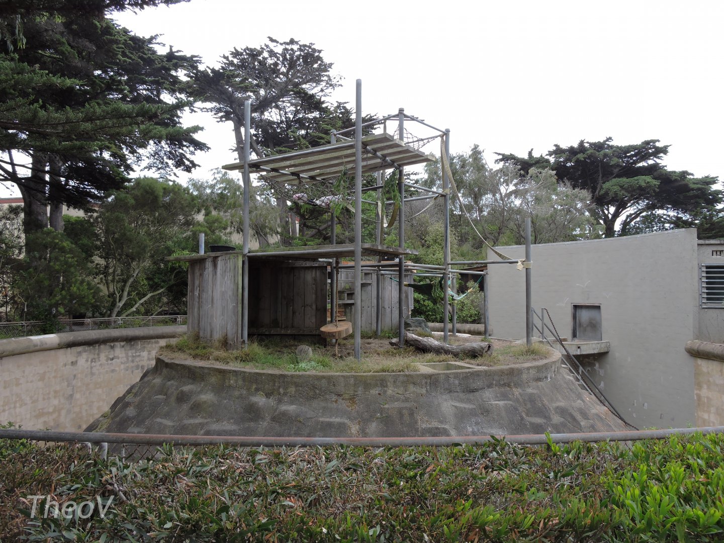 Chimpanzee exhibit [2015]