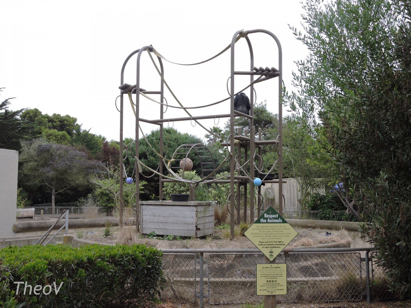 Chimpanzee exhibit [2015]