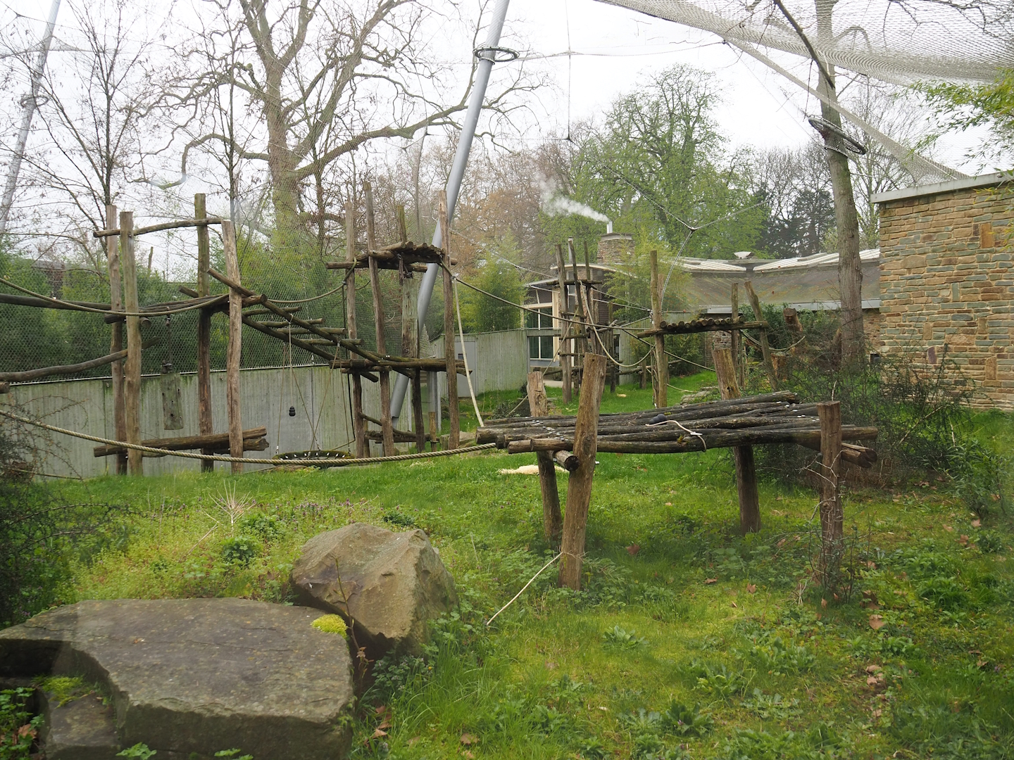 Chimpanzee exhibit,  2023-04-08