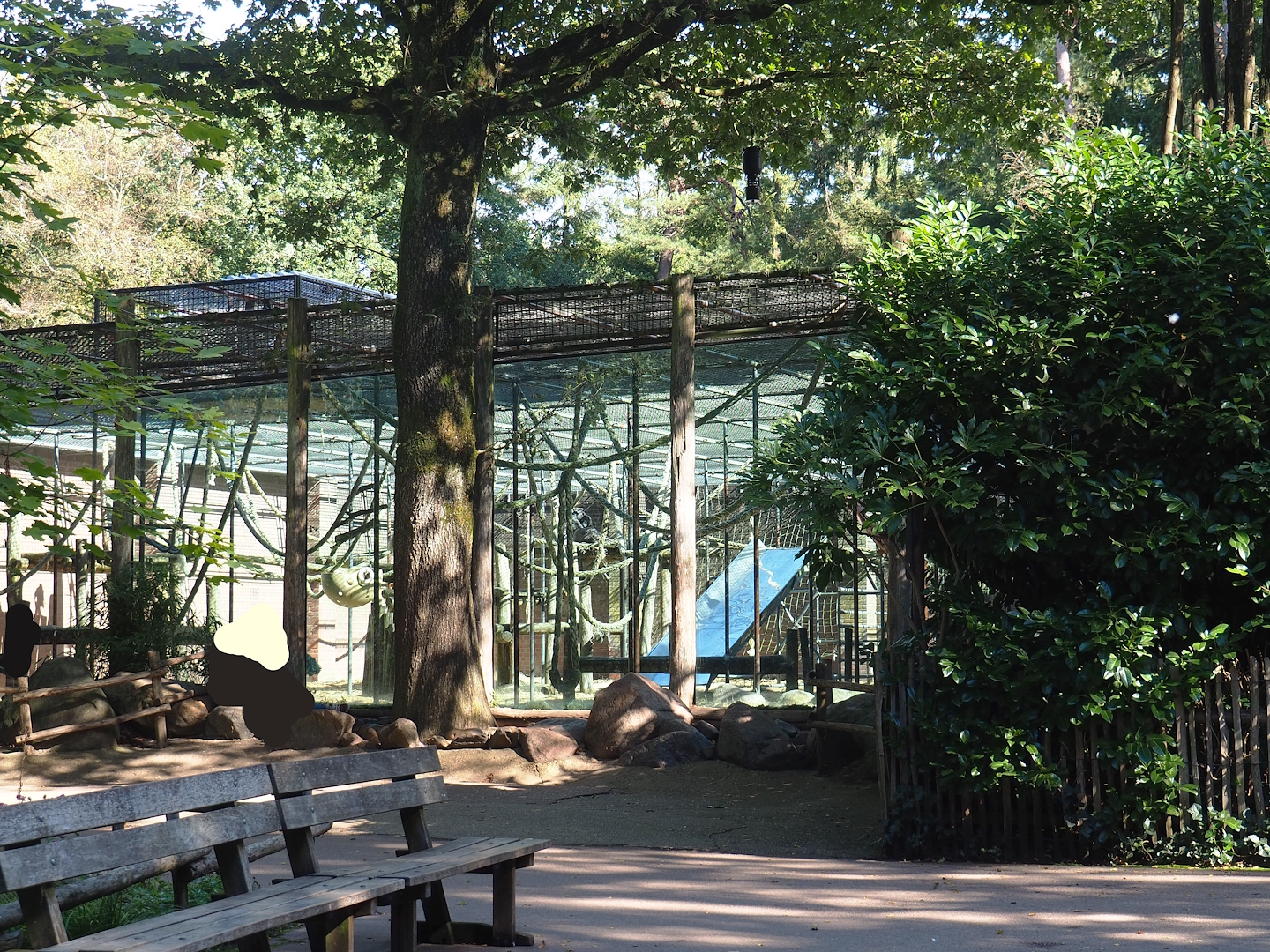 Chimpanzee exhibit, 2023-09-24