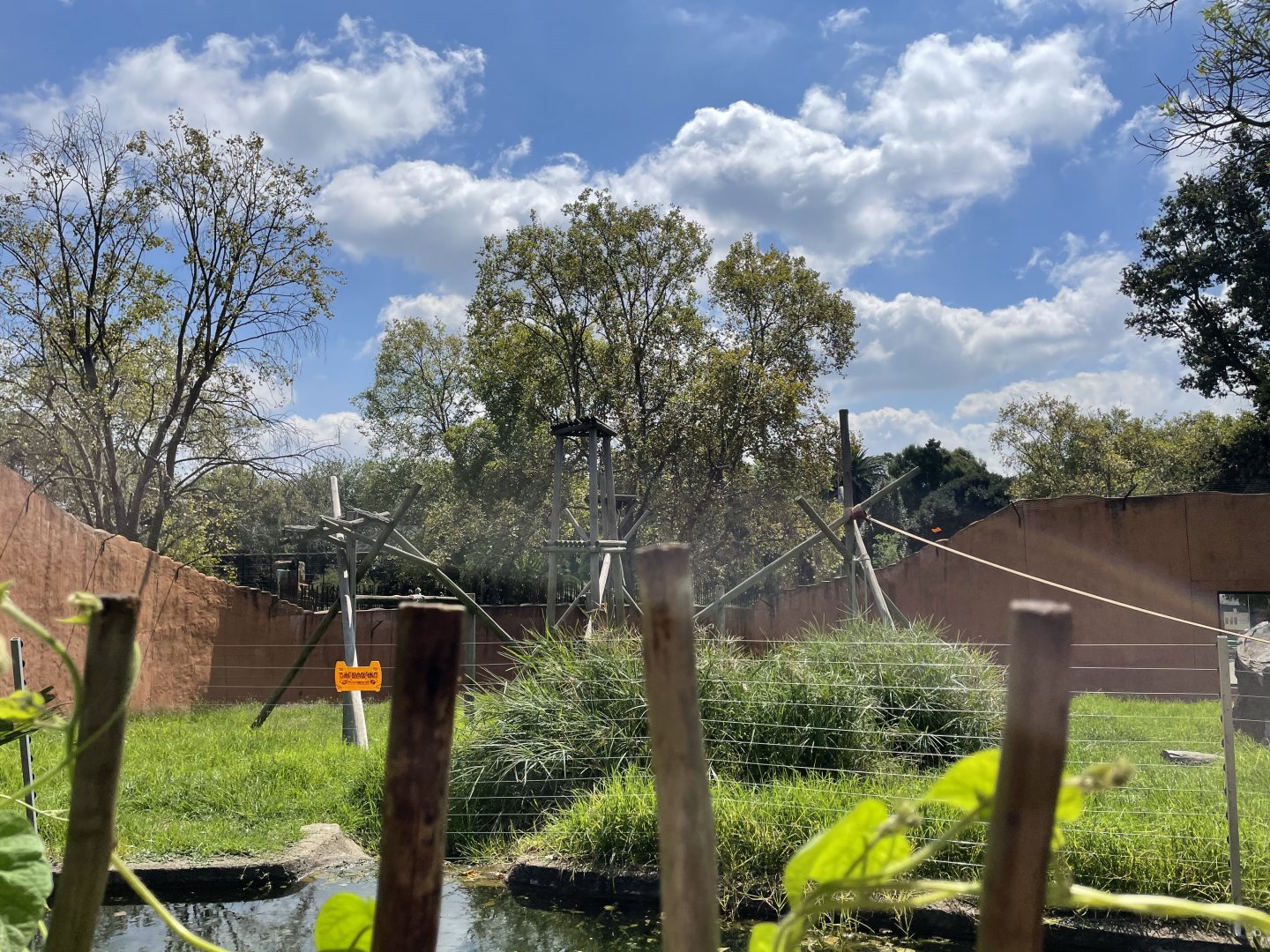 Chimpanzee Exhibit #3