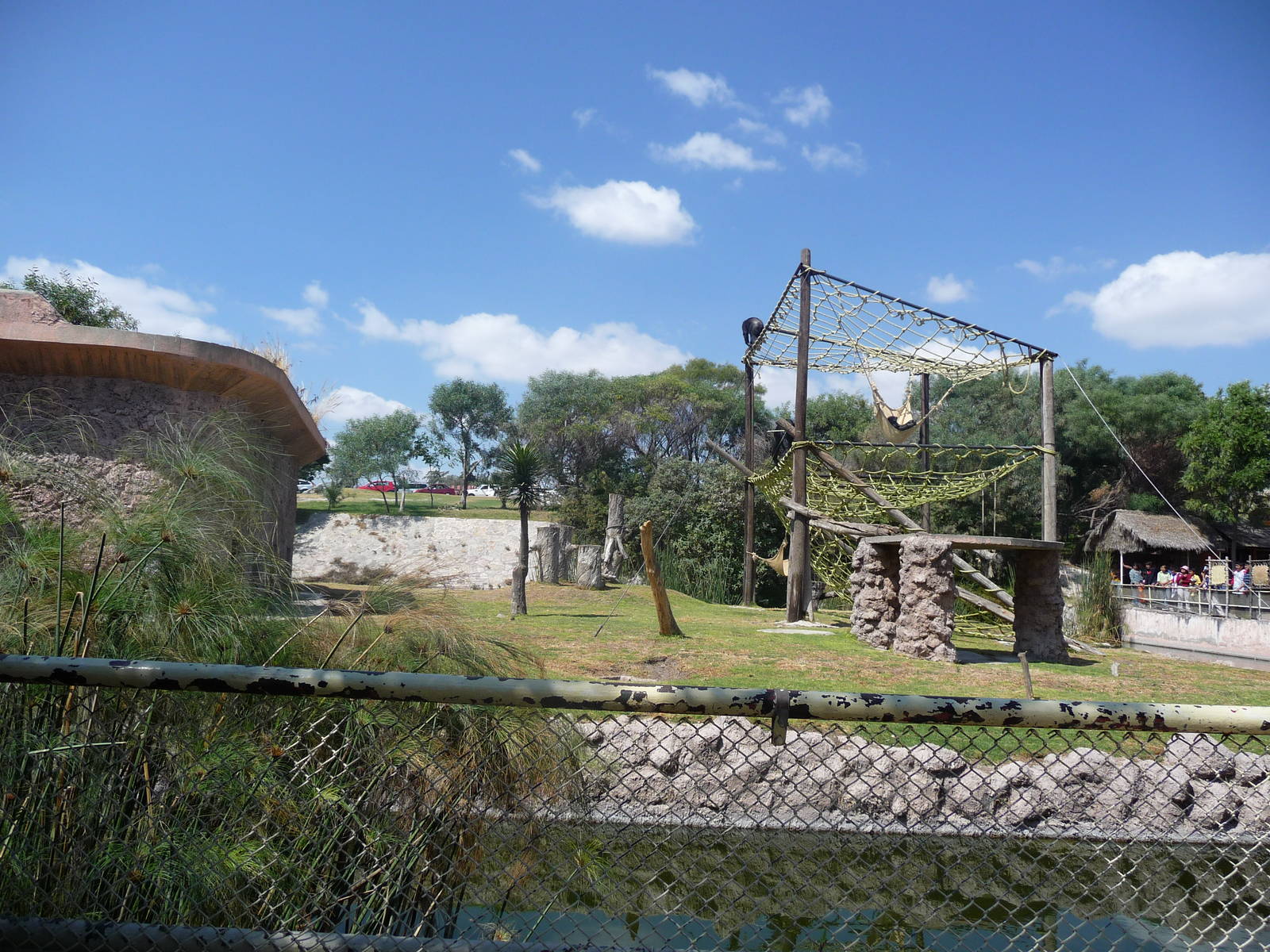 chimpanzee exhibit africam safari