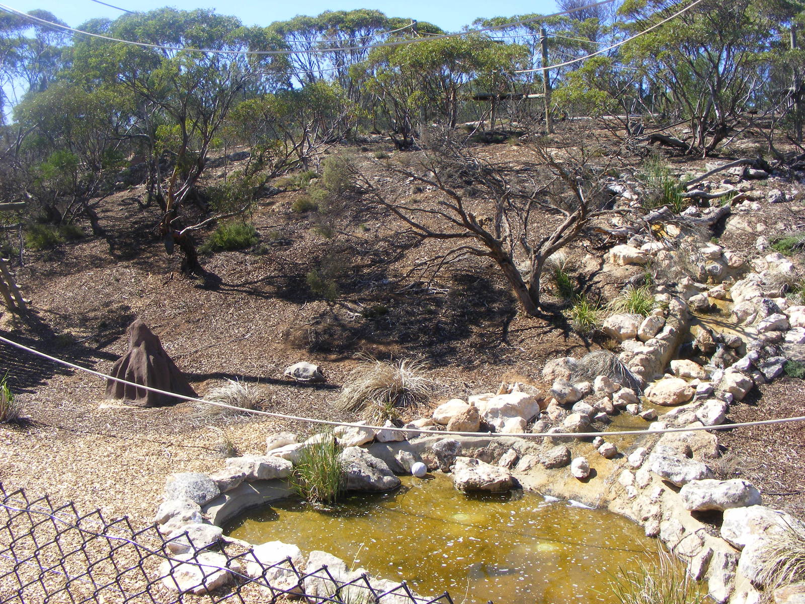 Chimpanzee Exhibit - April, 2010