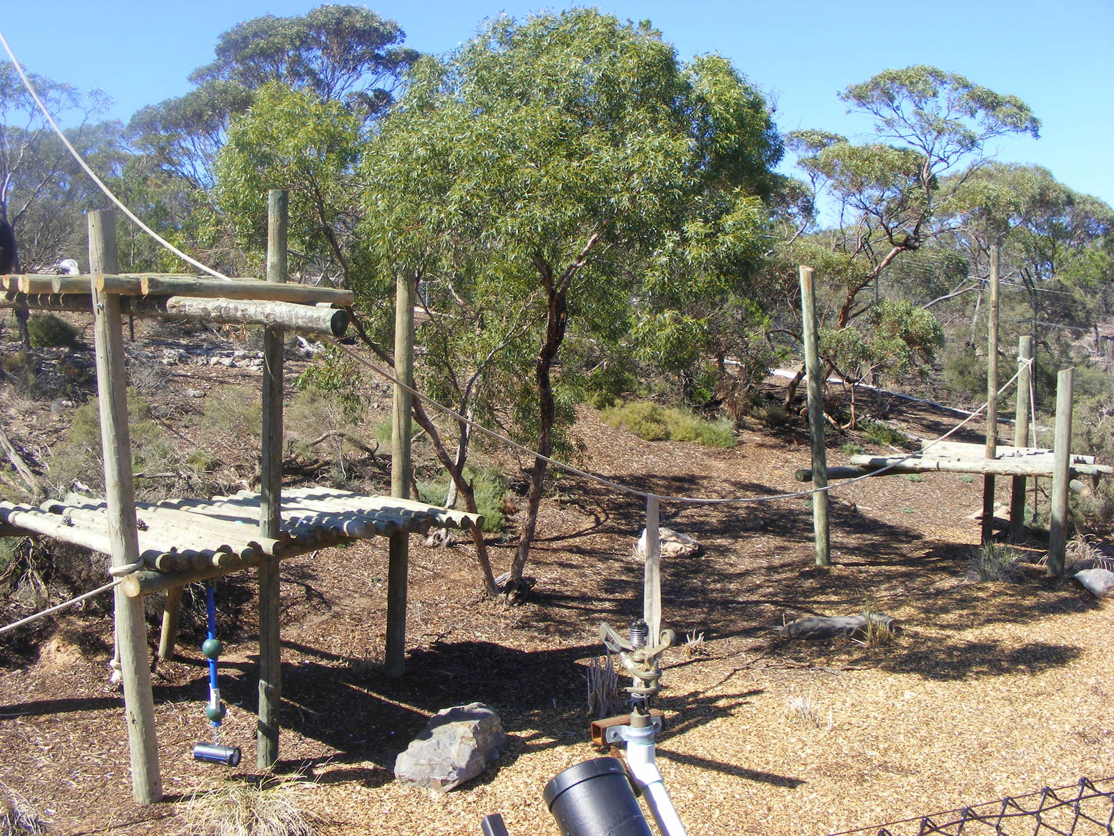 Chimpanzee Exhibit - April, 2010