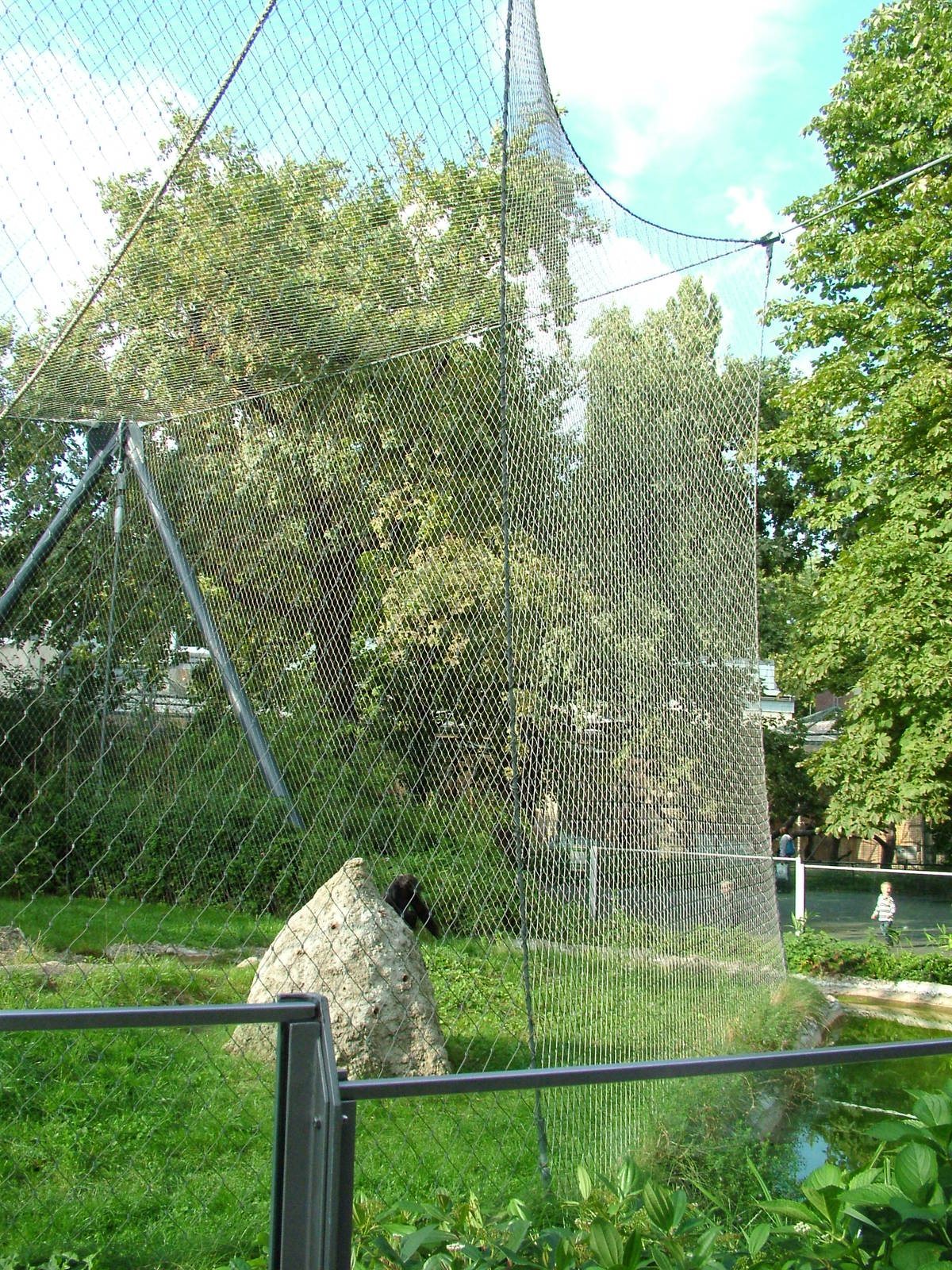 Chimpanzee Exhibit at Berlin Zoo, 31/08/11