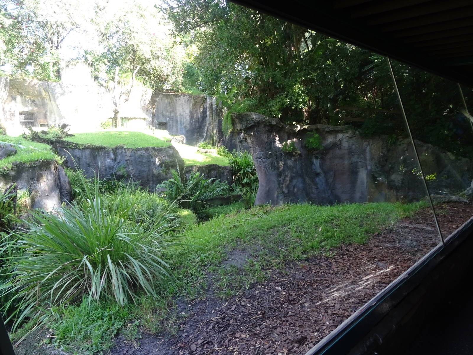 Chimpanzee Exhibit at Busch Gardens Tampa