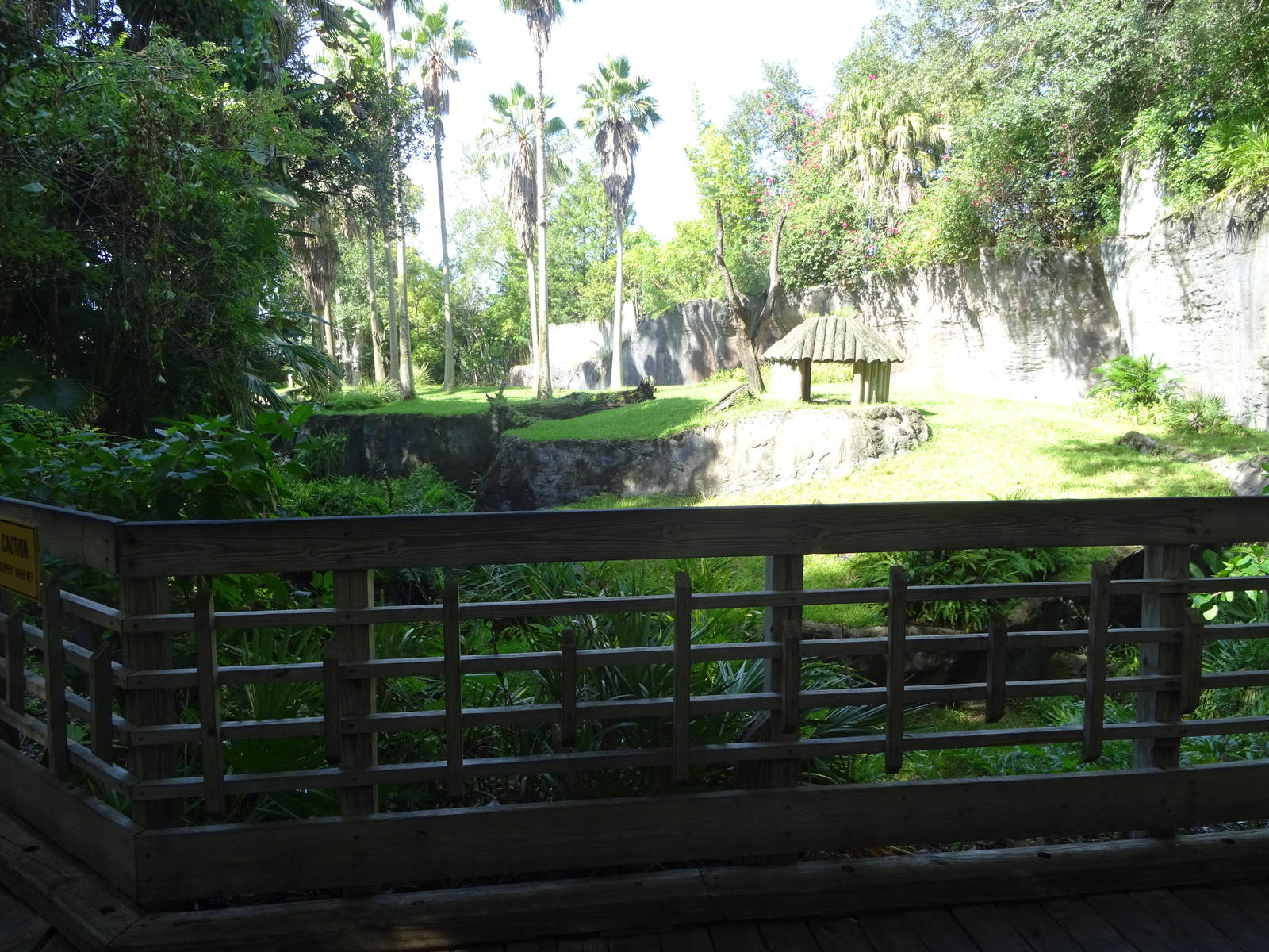 Chimpanzee Exhibit at Busch Gardens Tampa