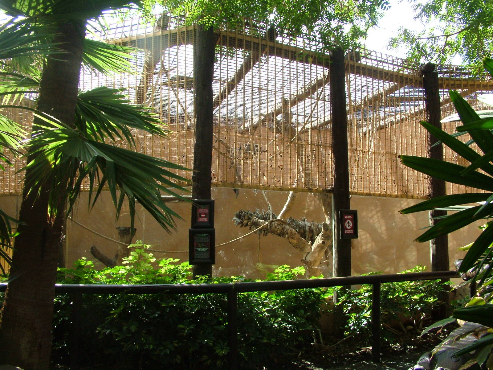 Chimpanzee Exhibit at Jungle Park (Las Aguilas), 13/11/10