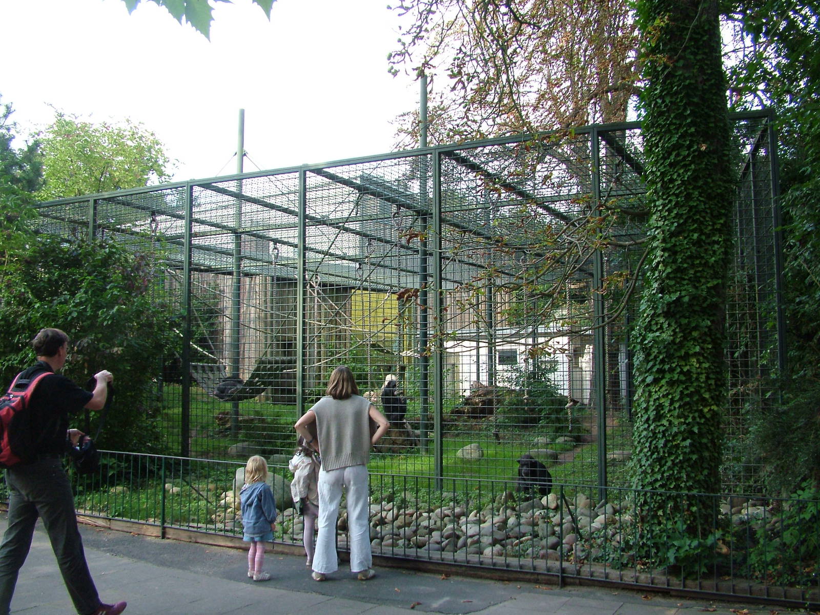 Chimpanzee Exhibit at Landau Zoo, 04/09/10