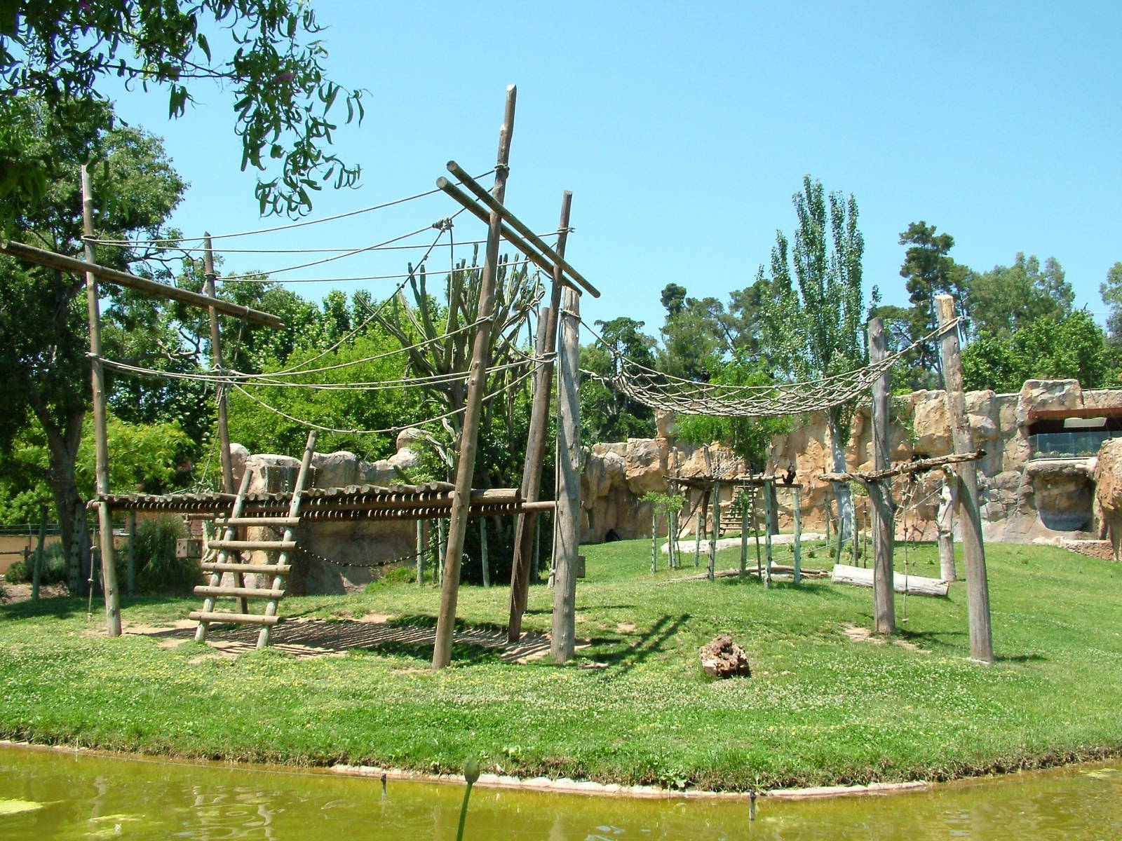 Chimpanzee Exhibit at Lisbon Zoo, 24/05/11