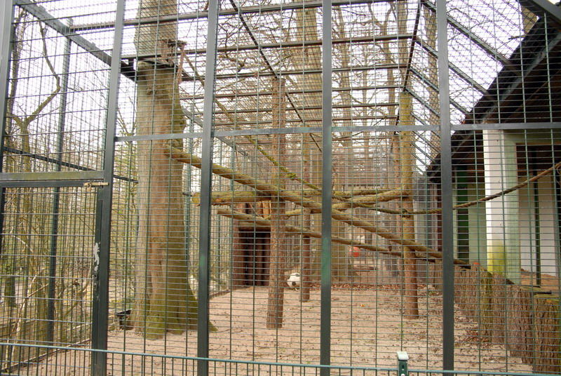 Chimpanzee exhibit at Lübeck (now closed)
