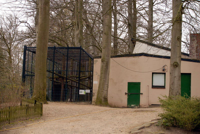 Chimpanzee exhibit at Lübeck (now closed)