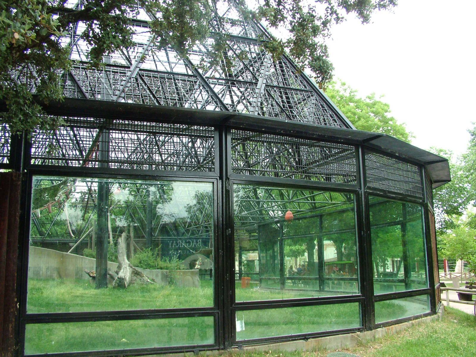 Chimpanzee Exhibit at Madrid Zoo Aquarium, 26/05/11
