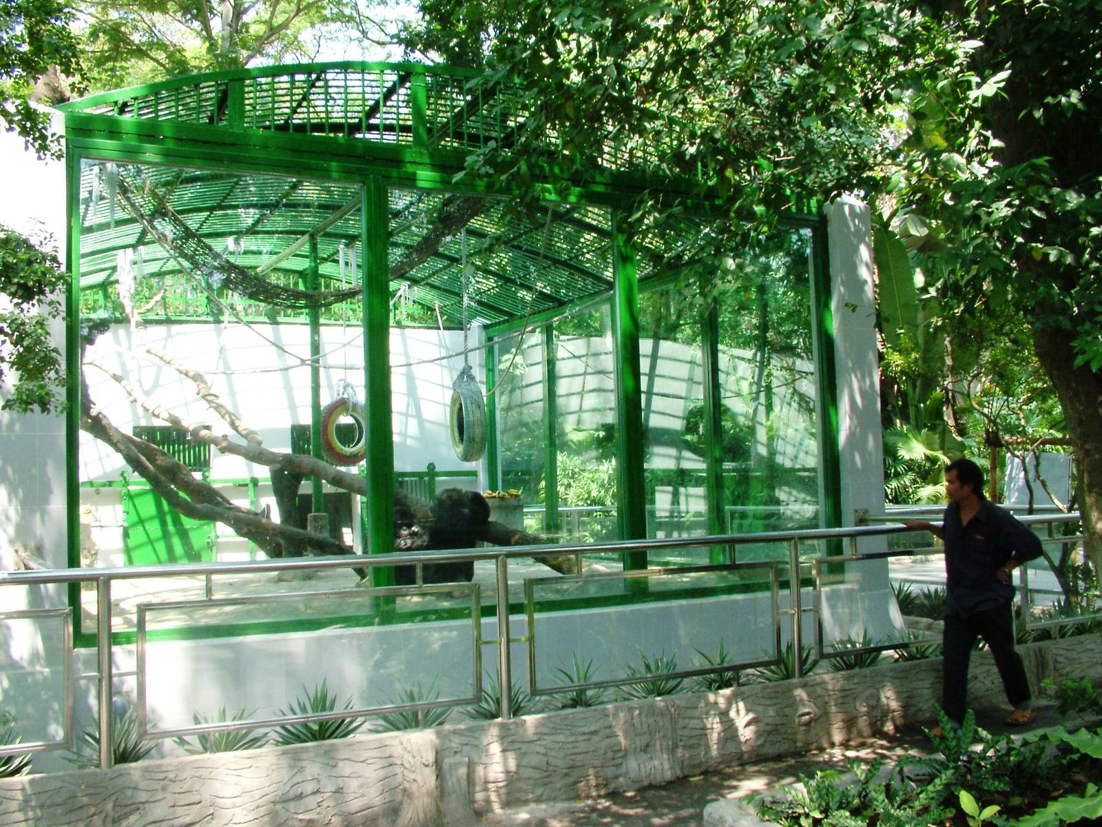 Chimpanzee Exhibit at Saigon Zoo, 16/03/12