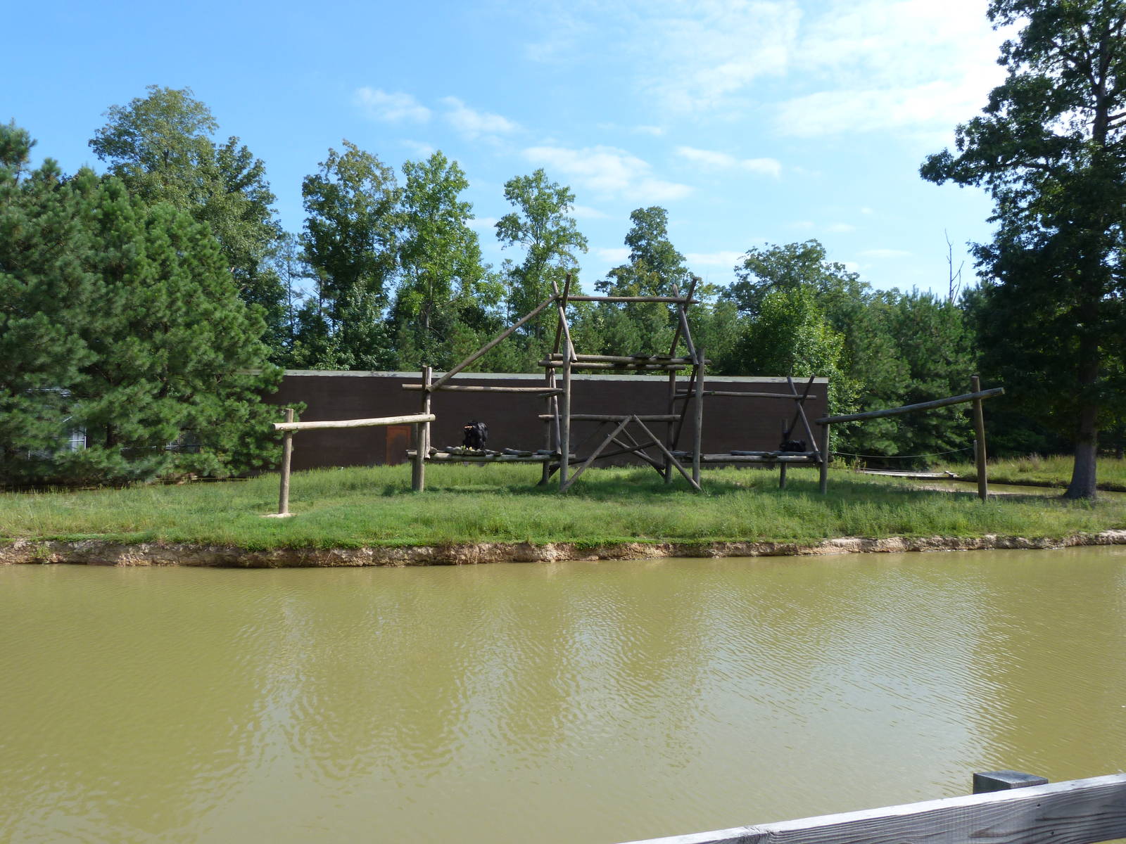 Chimpanzee Exhibit - August 2014