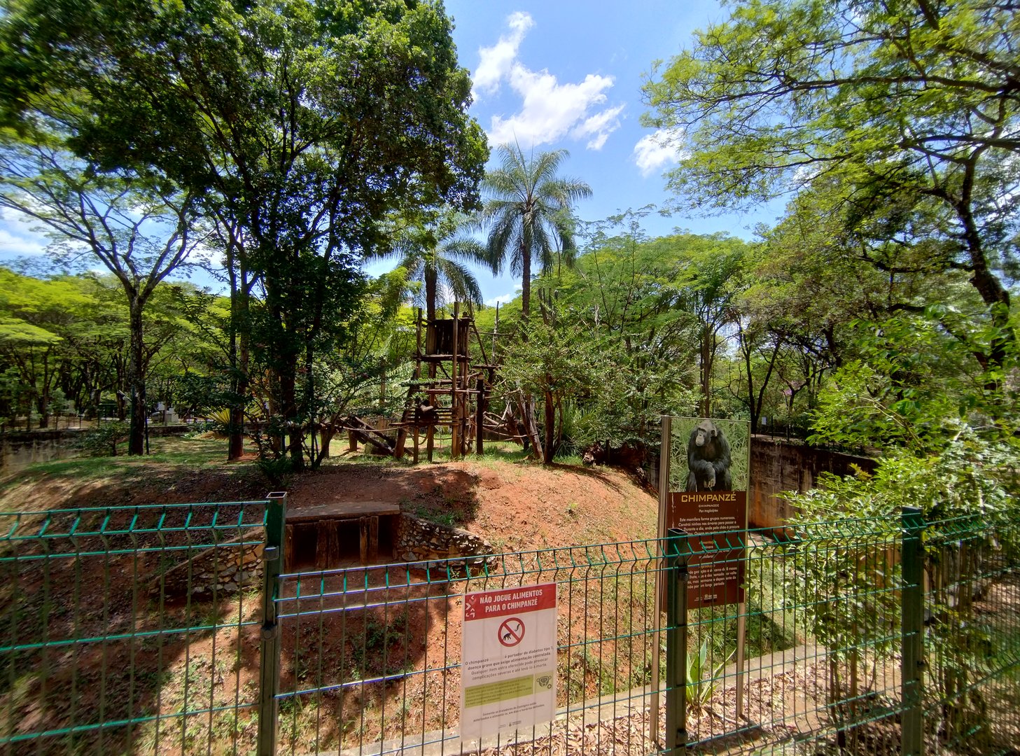 Chimpanzee exhibit  - Belo Horizonte zoo