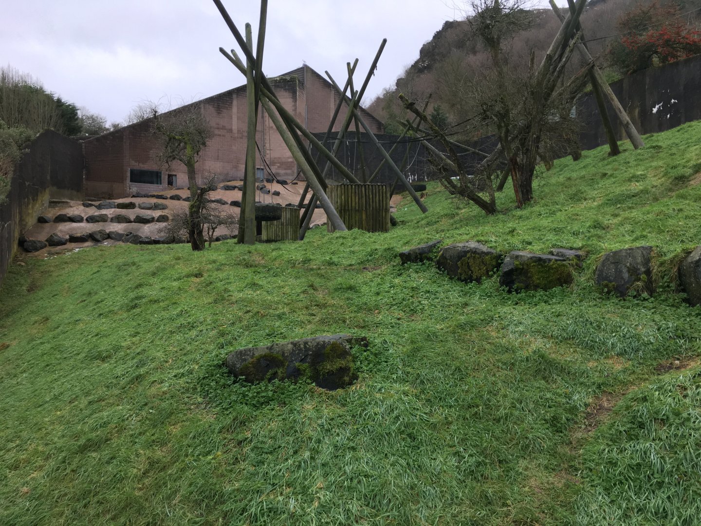 Chimpanzee Exhibit (bottom view)