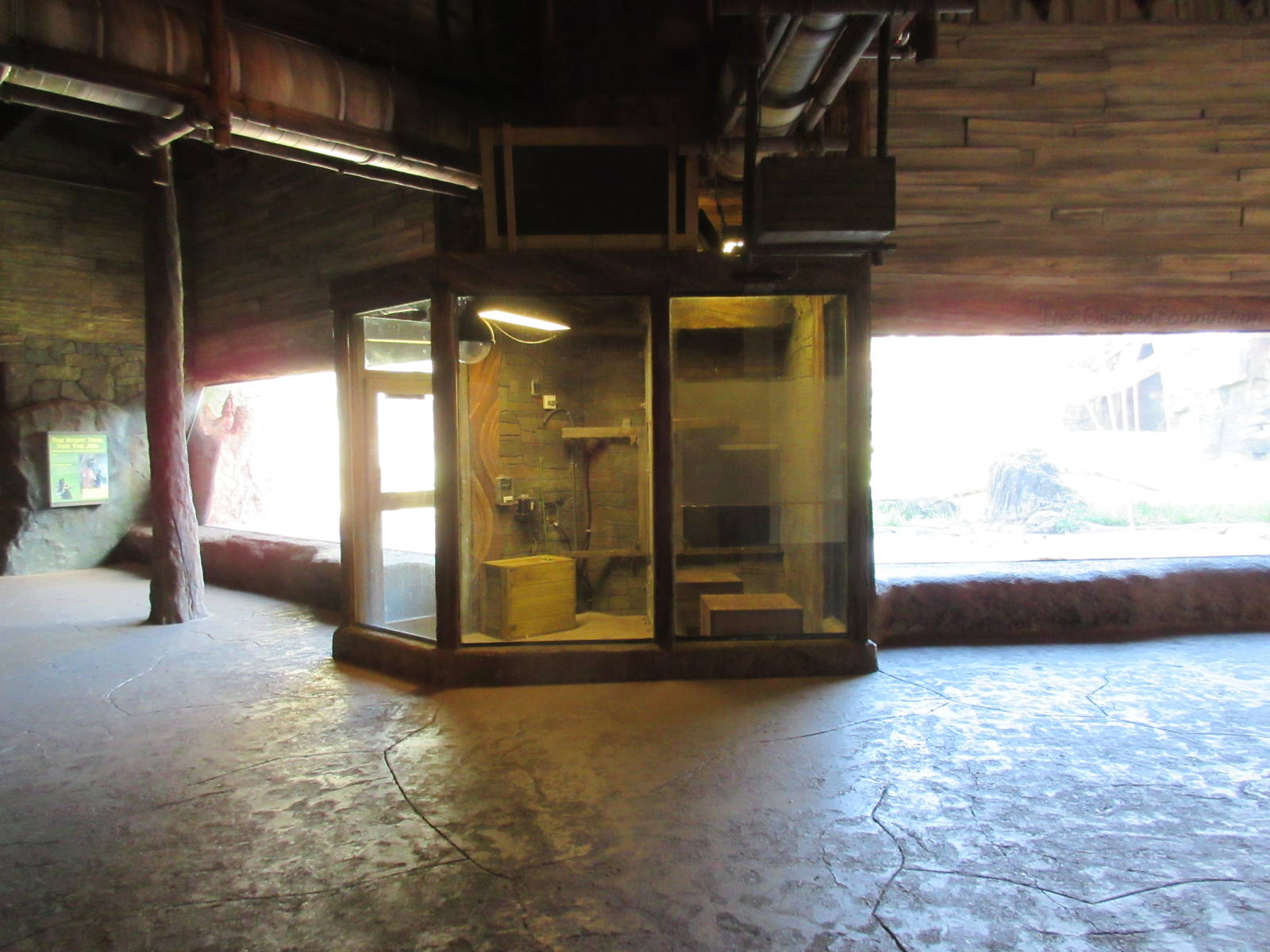 Chimpanzee Exhibit - Chimp Training Room