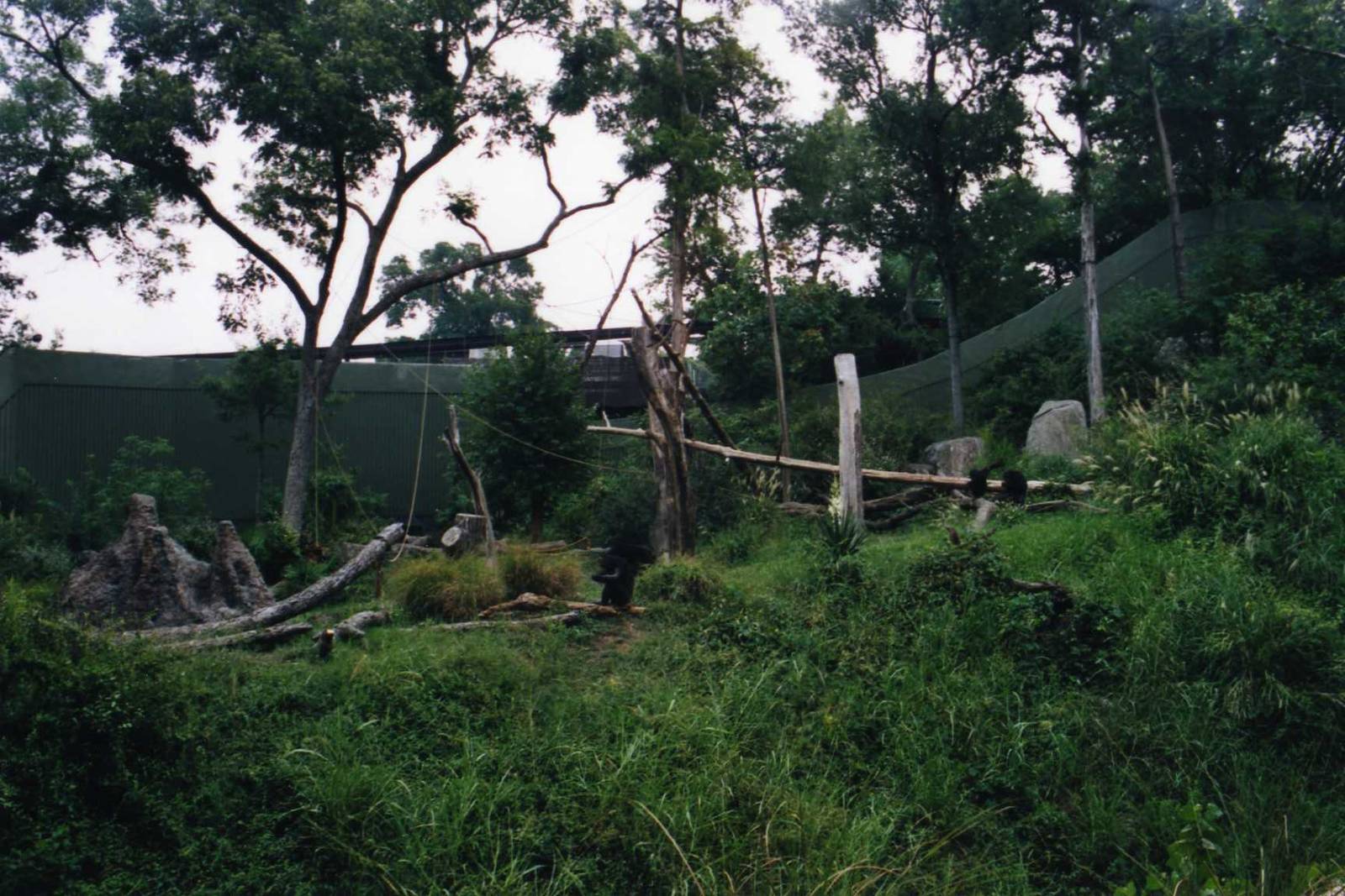 Chimpanzee Exhibit Detail