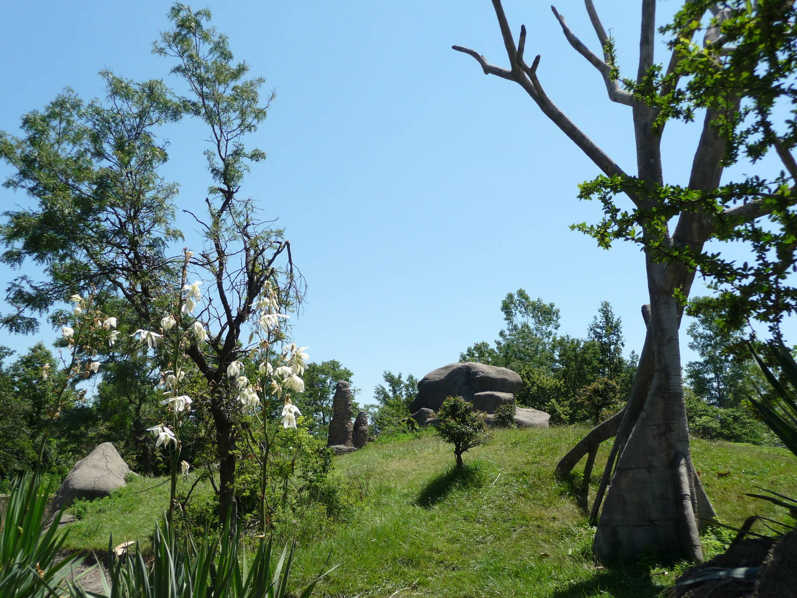Chimpanzee Exhibit - Detroit Zoo