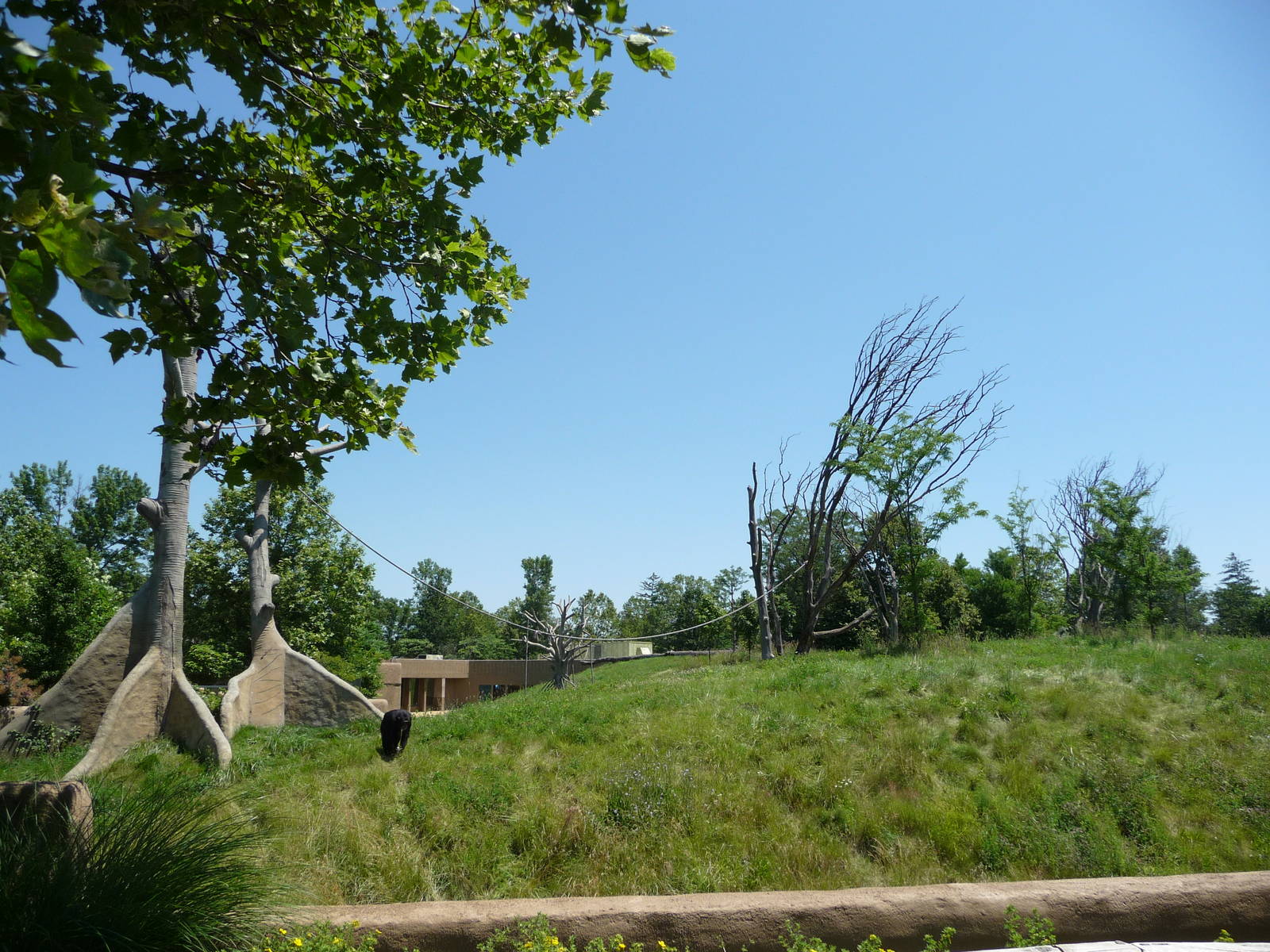 Chimpanzee Exhibit - Detroit Zoo