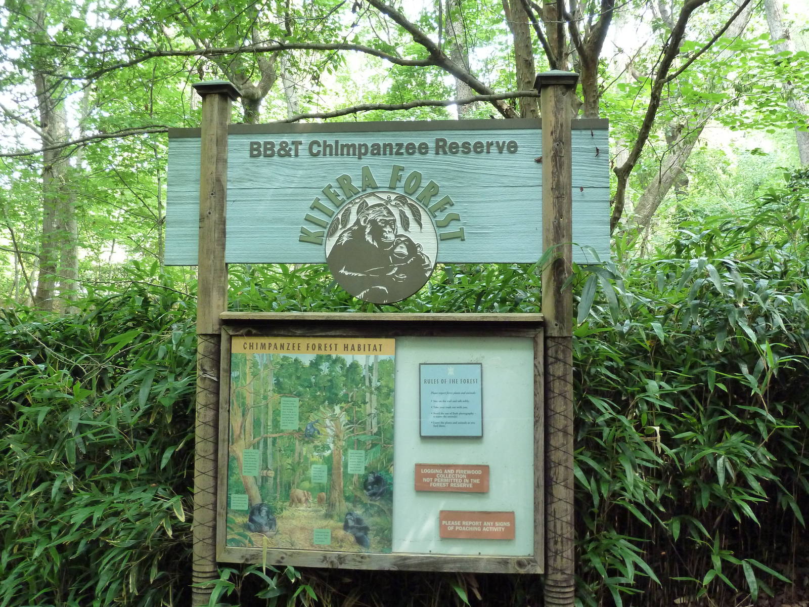 Chimpanzee Exhibit - Entrance Sign