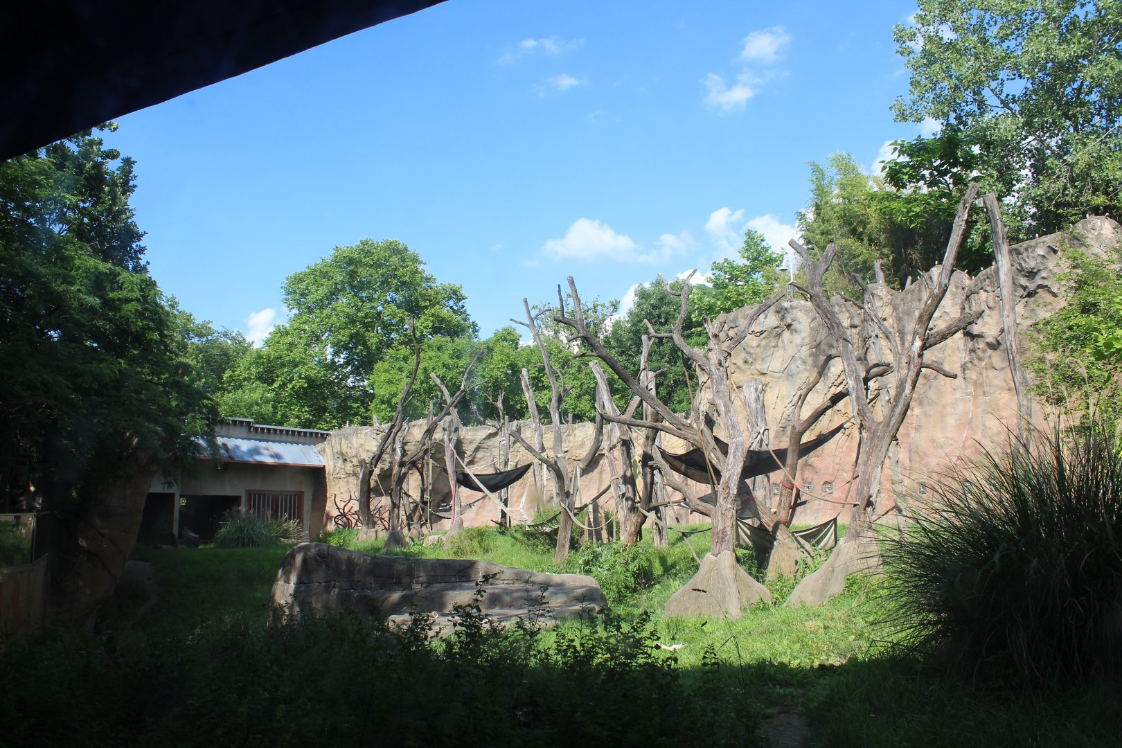 Chimpanzee Exhibit - Fragile Forest