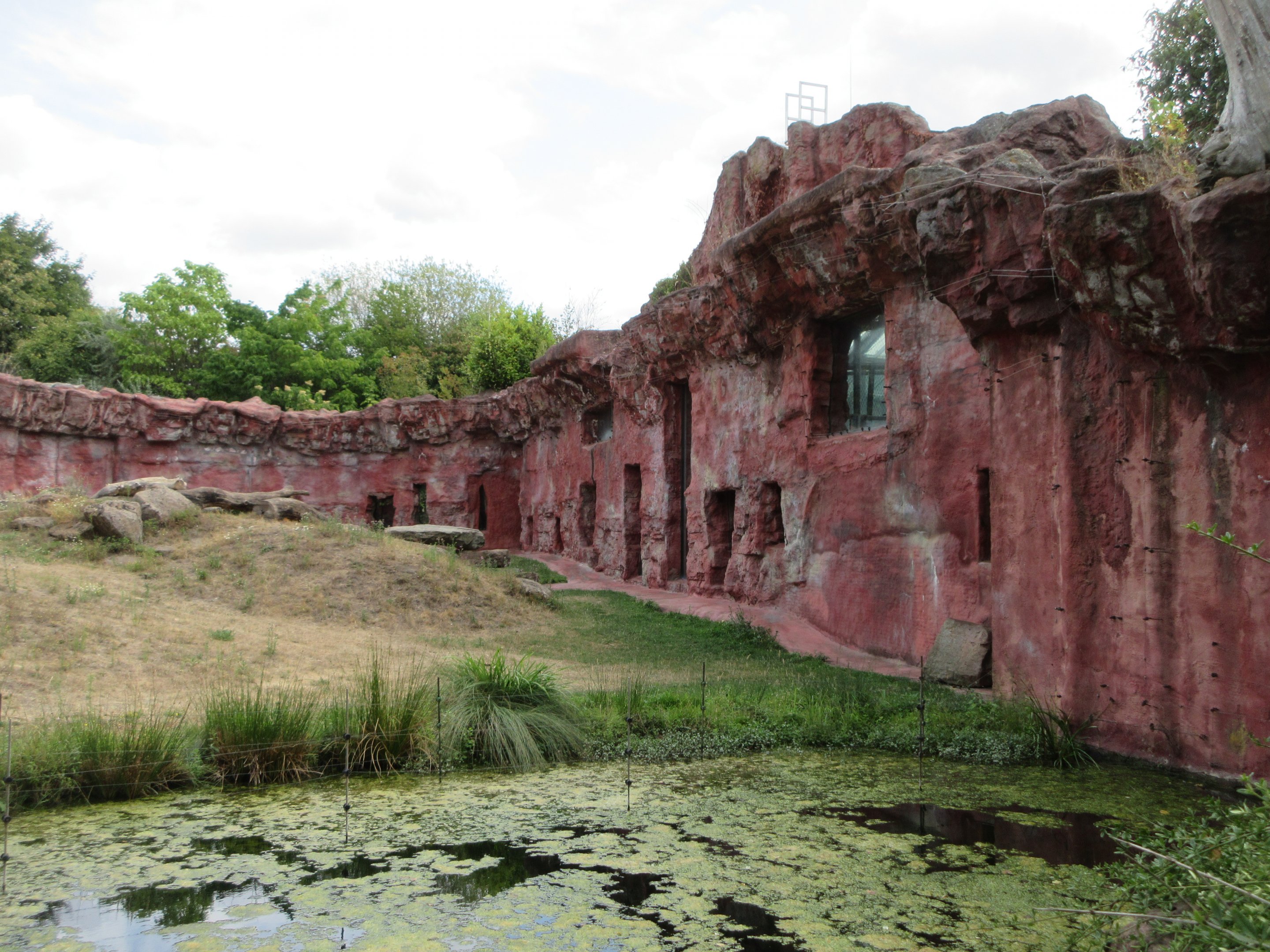 Chimpanzee Exhibit - ghastly mock-rock