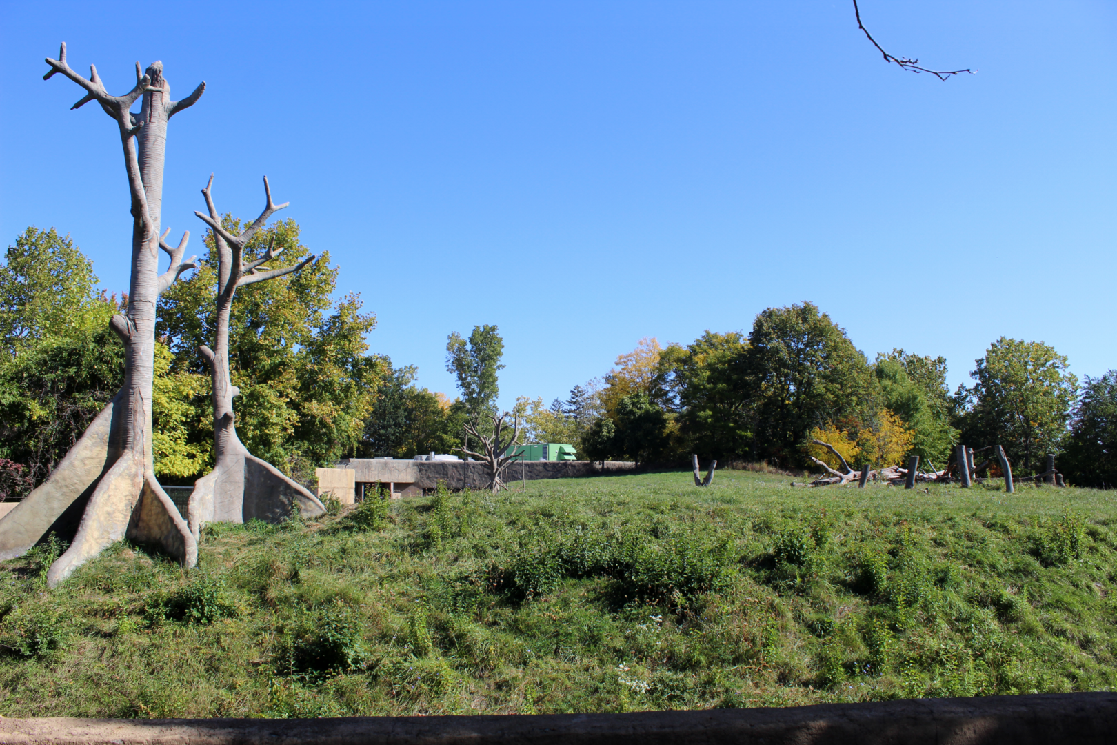 Chimpanzee Exhibit - Great Apes of Harambee
