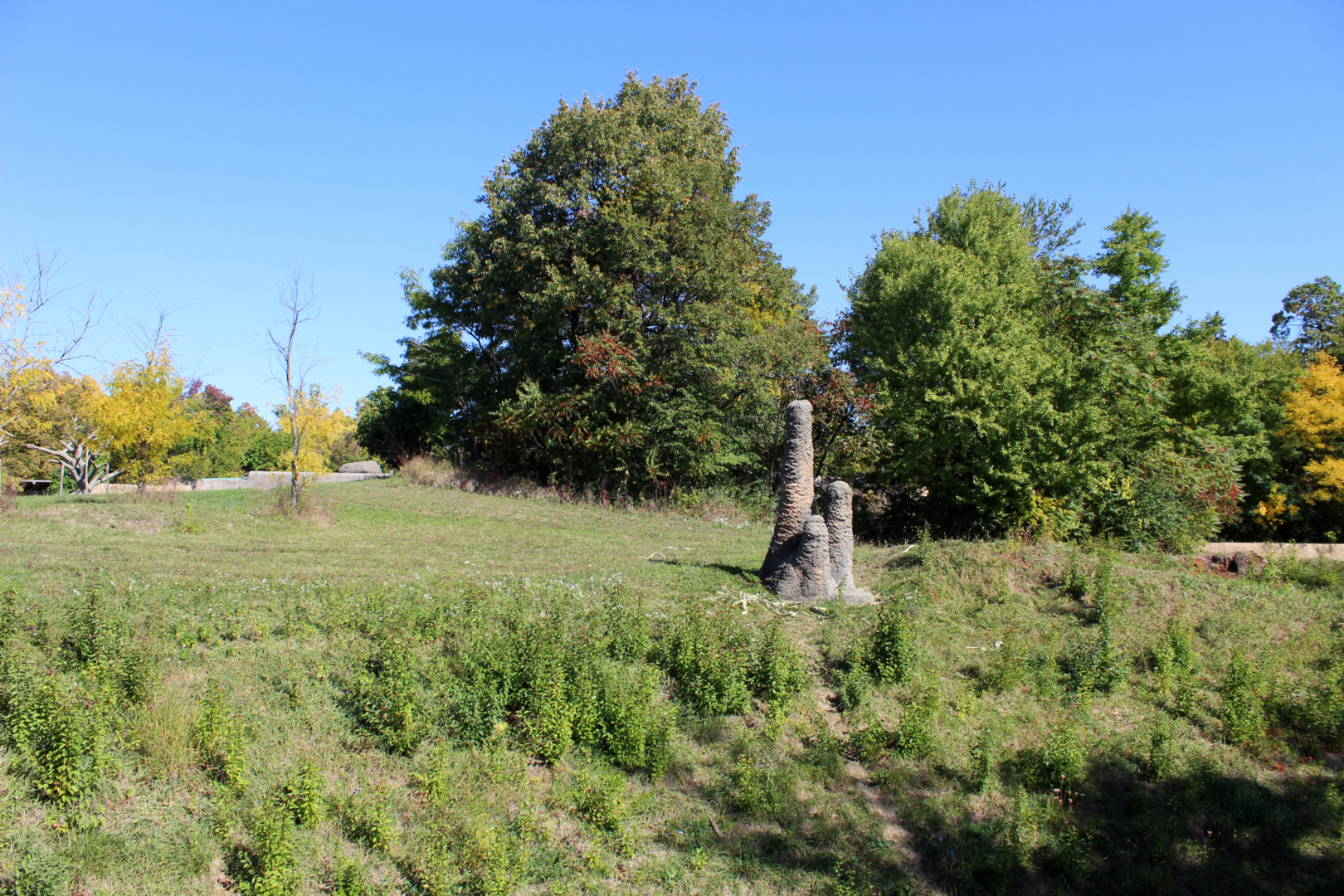 Chimpanzee Exhibit - Great Apes of Harambee