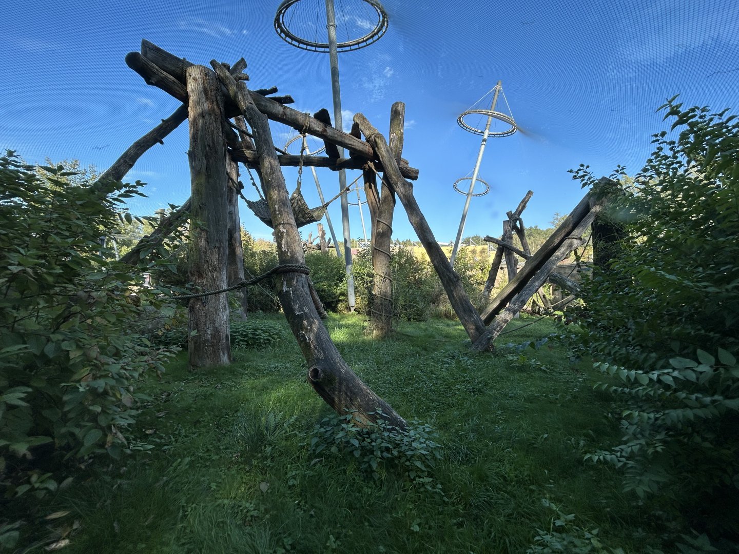 Chimpanzee Exhibit - House of Evolution