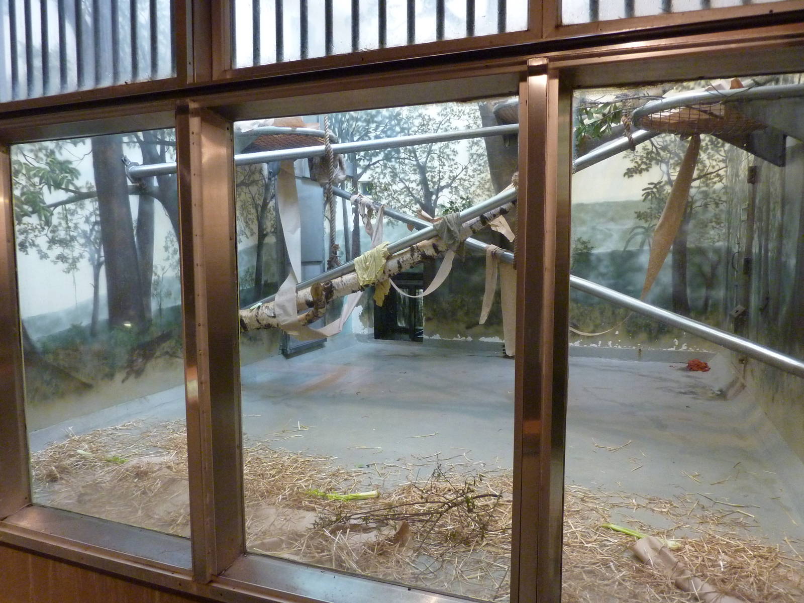 Chimpanzee Exhibit - Indoor Room