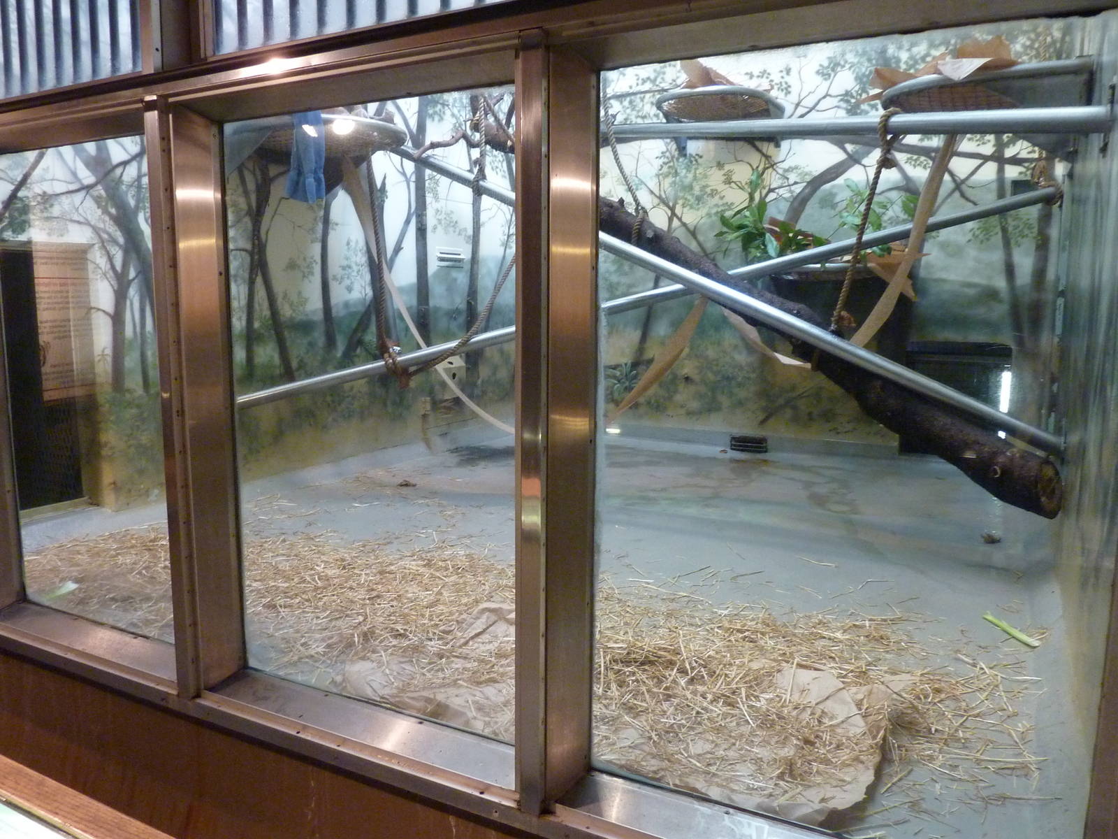 Chimpanzee Exhibit - Indoor Room