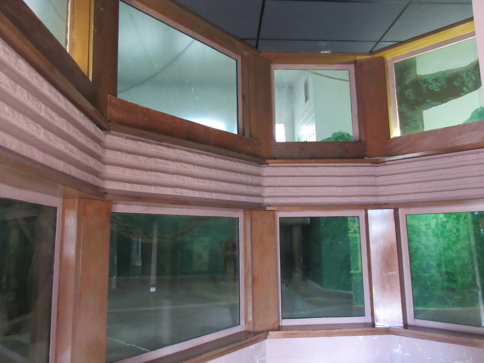 Chimpanzee Exhibit - Indoor Viewing Area