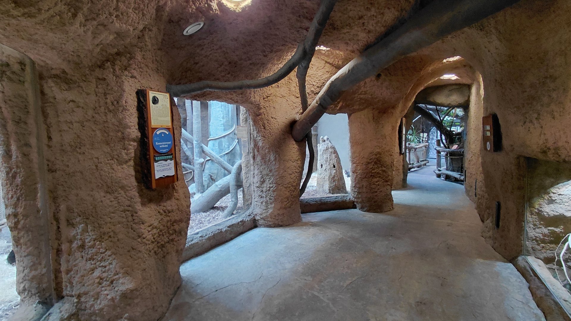 Chimpanzee exhibit - indoor viewing area